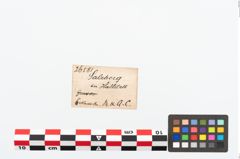 Etikett zu Bronzegewandnadel (NHMW-PRAE-026581)